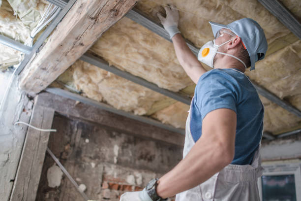 Best Insulation Removal  in Brownstown, PA