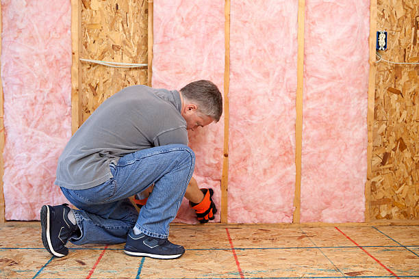 Best Best Insulation Companies  in Brownstown, PA