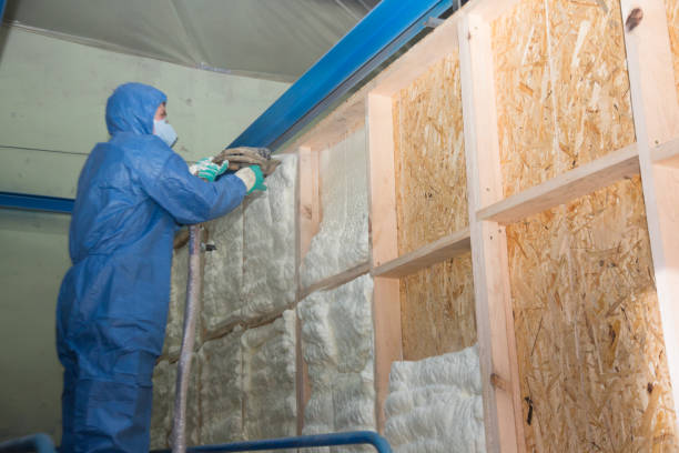 Insulation Repair Services in Brownstown, PA