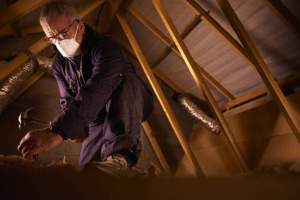 Best Local Insulation Services  in Brownstown, PA