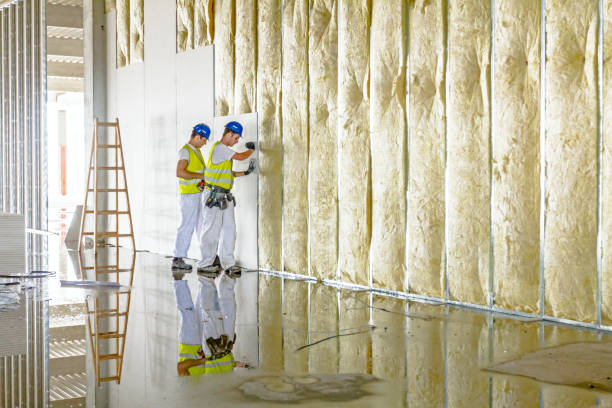 Best Fiberglass Insulation  in Brownstown, PA